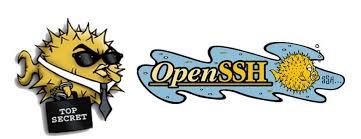 OpenSSH 再次曝出高危漏洞：CVE-2024-6387，该漏洞是由于OpenSSH服务器 (sshd) 中的信号处理程序竞争问题，未经身份验证的攻击者可以利用此漏洞在Linux系统上以root身份执行任意代码